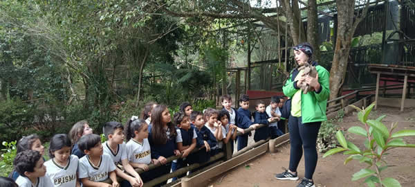 Bicho Mania 2022
